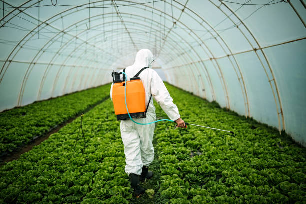 Pest Control for Restaurants in Ruskin, FL