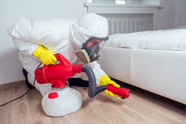Best Emergency Pest Control  in Ruskin, FL