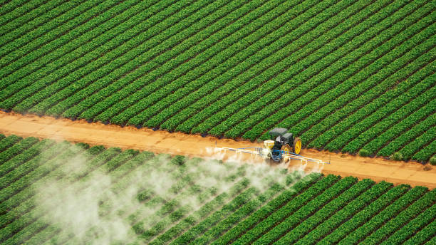 Best Mosquito Control Services  in Ruskin, FL