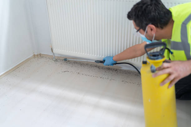 Best Best Pest Control Companies  in Ruskin, FL